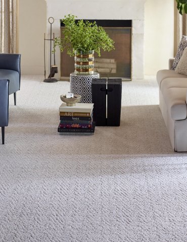 Living Room Pattern Carpet - COLORTILE CarpetsPlus in Port Charlotte, FL