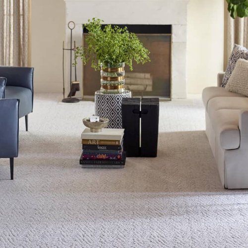 Living Room Pattern Carpet - COLORTILE CarpetsPlus in Port Charlotte, FL